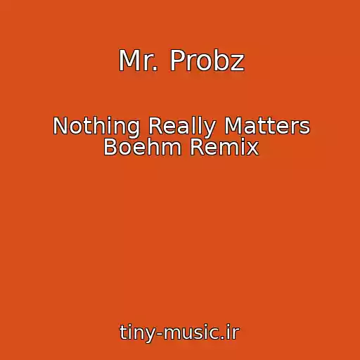 کاور آهنگ Mr. Probz از Nothing Really Matters Boehm Remix