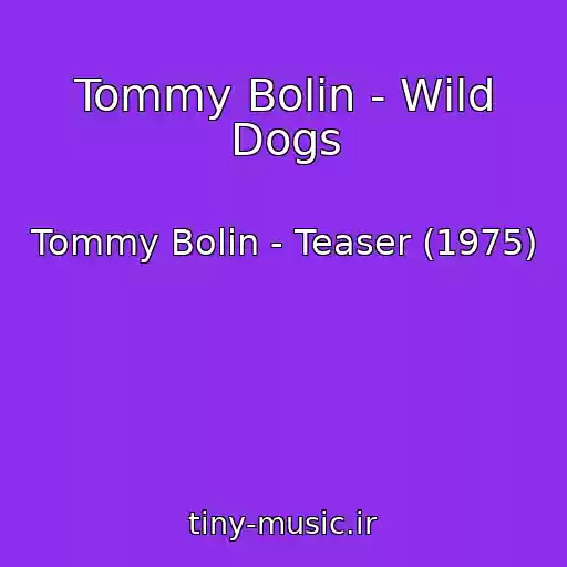 کاور آهنگ Tommy Bolin - Wild Dogs از Tommy Bolin - Teaser (1975)