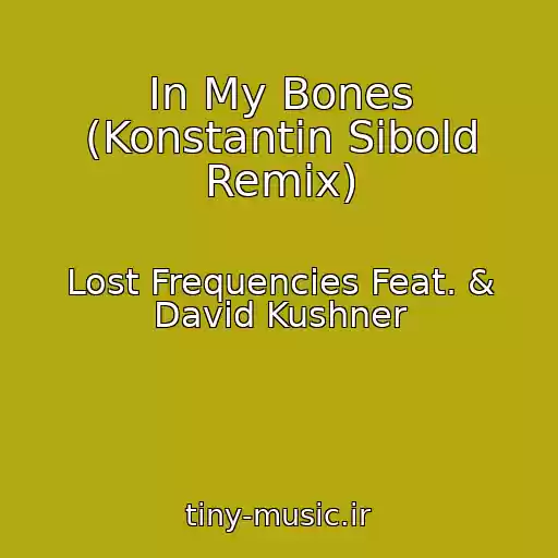 کاور آهنگ In My Bones (Konstantin Sibold Remix) از Lost Frequencies Feat. & David Kushner