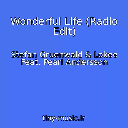 کاور آهنگ Wonderful Life (Radio Edit) از Stefan Gruenwald & Lokee Feat. Pearl Andersson