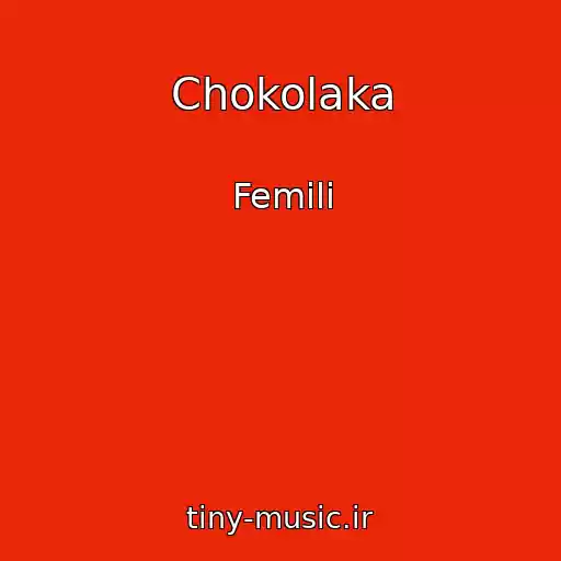 کاور آهنگ Chokolaka از Femili