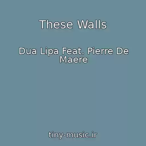کاور آهنگ These Walls از Dua Lipa Feat. Pierre De Maere