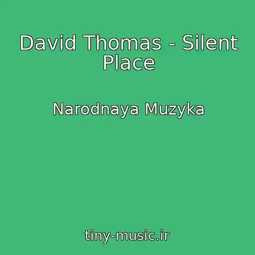 کاور آهنگ David Thomas - Silent Place از Narodnaya Muzyka