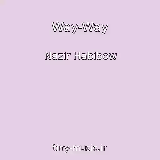 کاور آهنگ Way-Way از Nazir Habibow