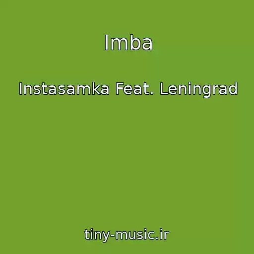 کاور آهنگ Imba از Instasamka Feat. Leningrad