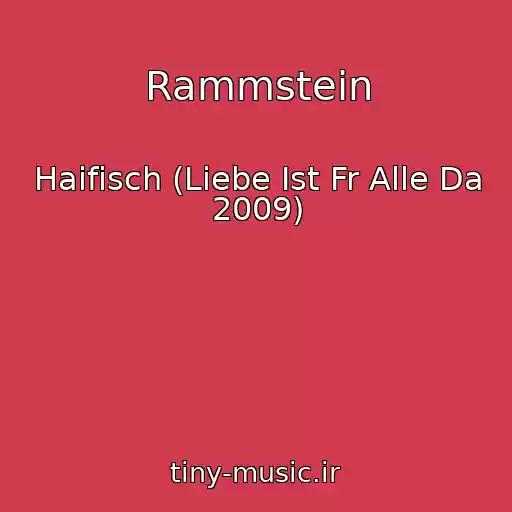 کاور آهنگ Rammstein از Haifisch (Liebe Ist Fr Alle Da 2009)