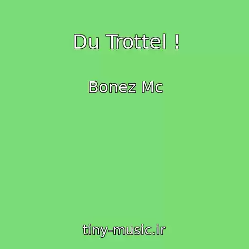 کاور آهنگ Du Trottel ! از Bonez Mc