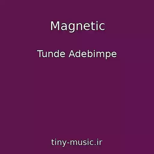 کاور آهنگ Magnetic از Tunde Adebimpe