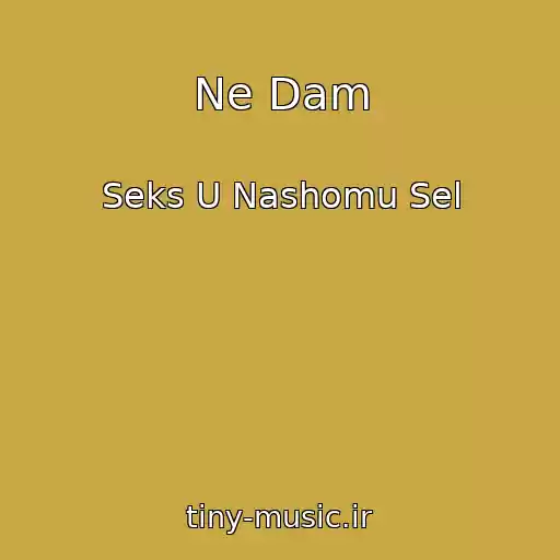 کاور آهنگ Ne Dam از Seks U Nashomu Sel