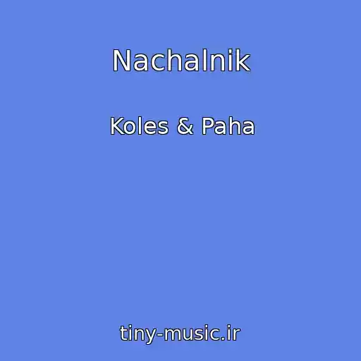 کاور آهنگ Nachalnik از Koles & Paha