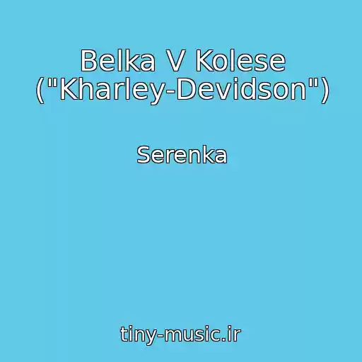 کاور آهنگ Belka V Kolese ("Kharley-Devidson") از Serenka