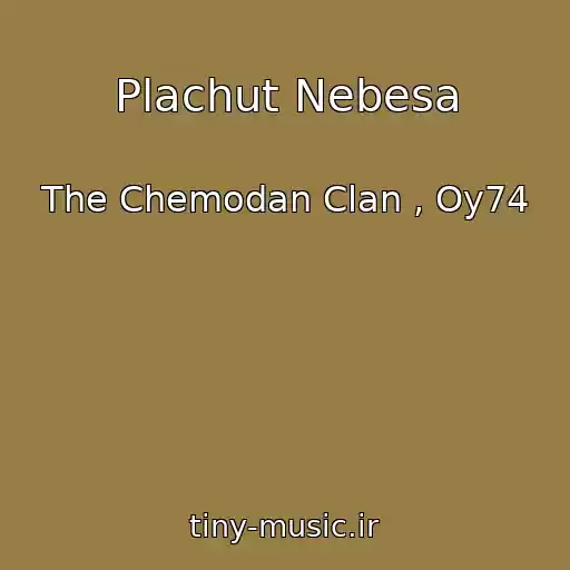 کاور آهنگ Plachut Nebesa از The Chemodan Clan , Oy74