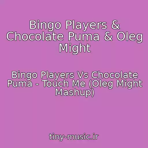 کاور آهنگ Bingo Players & Chocolate Puma & Oleg Might از Bingo Players Vs Chocolate Puma - Touch Me (Oleg Might Mashup)
