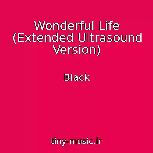 کاور آهنگ Wonderful Life (Extended Ultrasound Version) از Black