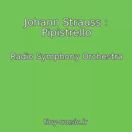 کاور آهنگ Johann Strauss : Pipistrello از Radio Symphony Orchestra
