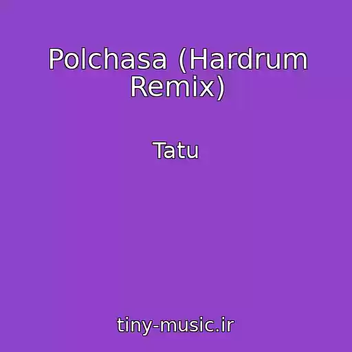 کاور آهنگ Polchasa (Hardrum Remix) از Tatu