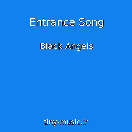 کاور آهنگ Entrance Song از Black Angels