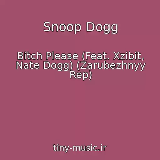 کاور آهنگ Snoop Dogg از Bitch Please (Feat. Xzibit, Nate Dogg) (Zarubezhnyy Rep)
