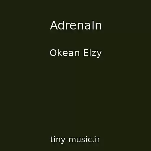 کاور آهنگ Adrenaln از Okean Elzy
