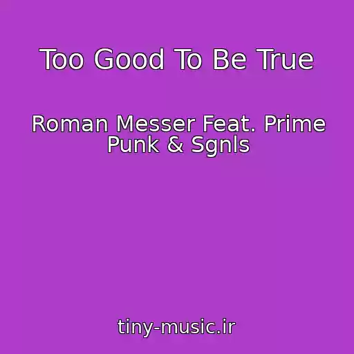 کاور آهنگ Too Good To Be True از Roman Messer Feat. Prime Punk & Sgnls
