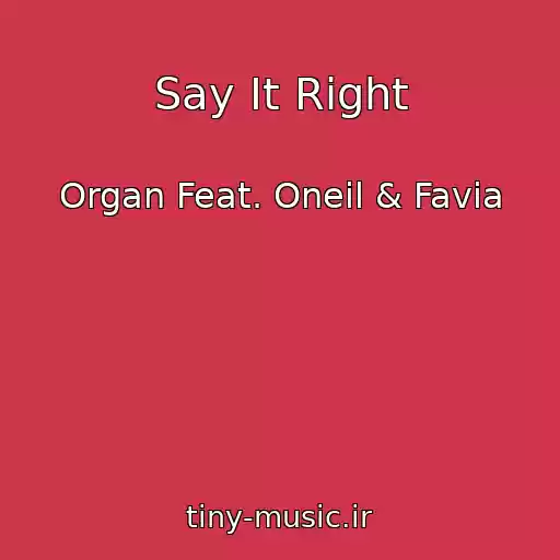 کاور آهنگ Say It Right از Organ Feat. Oneil & Favia