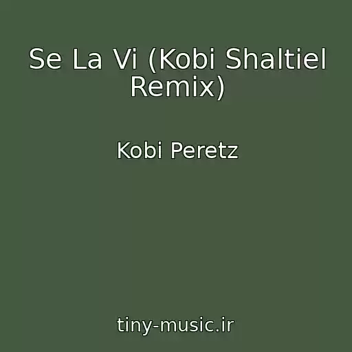 کاور آهنگ Se La Vi (Kobi Shaltiel Remix) از Kobi Peretz