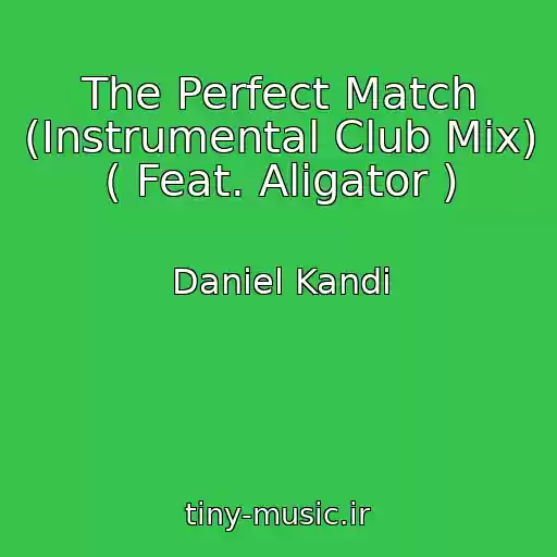 کاور آهنگ The Perfect Match (Instrumental Club Mix) ( Feat. Aligator ) از Daniel Kandi
