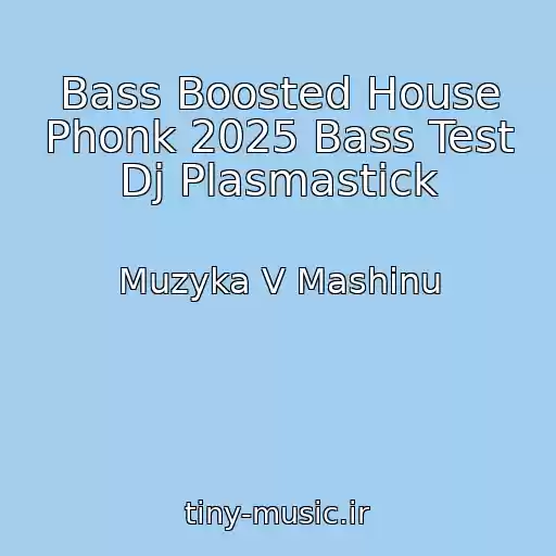 کاور آهنگ Bass Boosted House Phonk 2025 Bass Test Dj Plasmastick از Muzyka V Mashinu