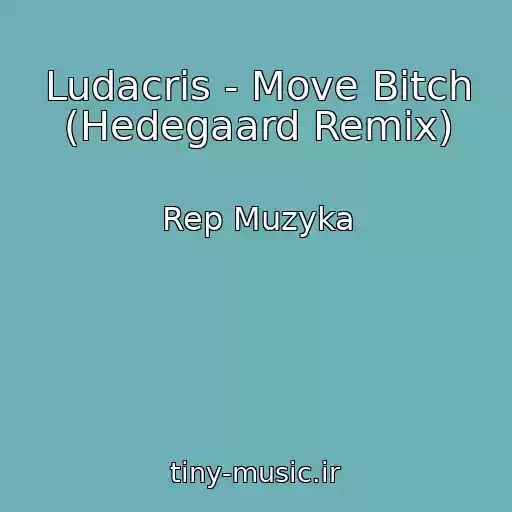 کاور آهنگ Ludacris - Move Bitch (Hedegaard Remix) از Rep Muzyka