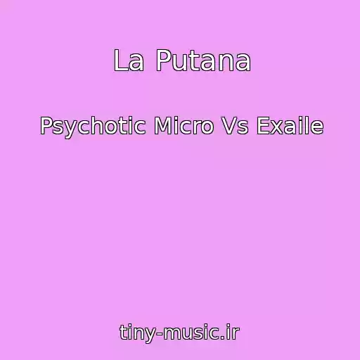 کاور آهنگ La Putana از Psychotic Micro Vs Exaile