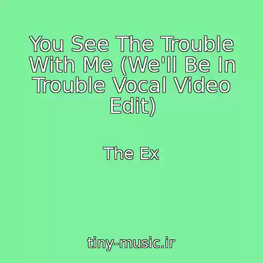 کاور آهنگ You See The Trouble With Me (We'll Be In Trouble Vocal Video Edit) از The Ex