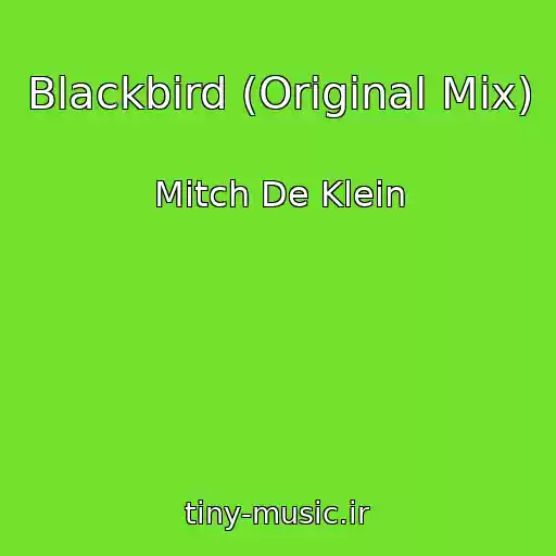 کاور آهنگ Blackbird (Original Mix) از Mitch De Klein