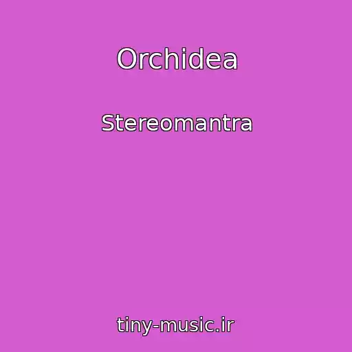 کاور آهنگ Orchidea از Stereomantra