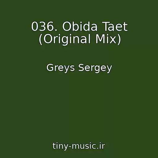کاور آهنگ 036. Obida Taet (Original Mix) از Greys Sergey