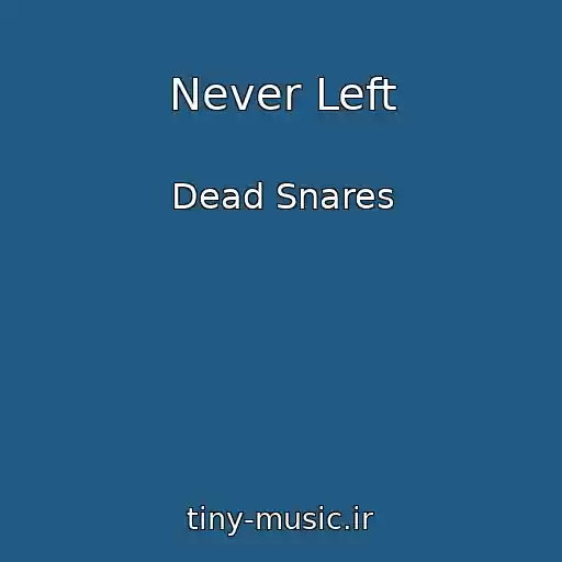 کاور آهنگ Never Left از Dead Snares