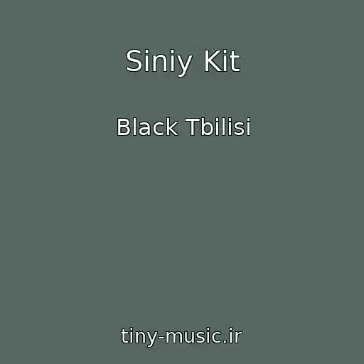 کاور آهنگ Siniy Kit از Black Tbilisi