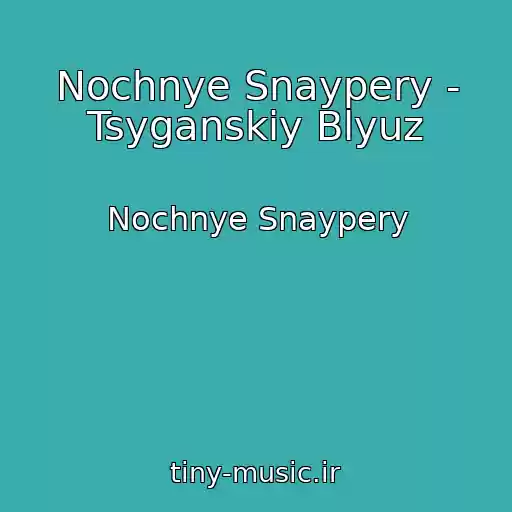 کاور آهنگ Nochnye Snaypery - Tsyganskiy Blyuz از Nochnye Snaypery