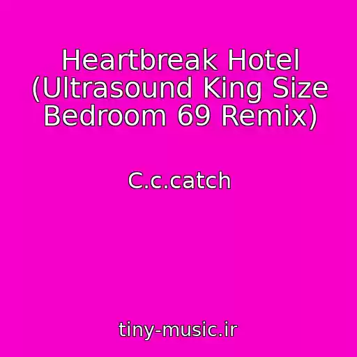 کاور آهنگ Heartbreak Hotel (Ultrasound King Size Bedroom 69 Remix) از C.c.catch
