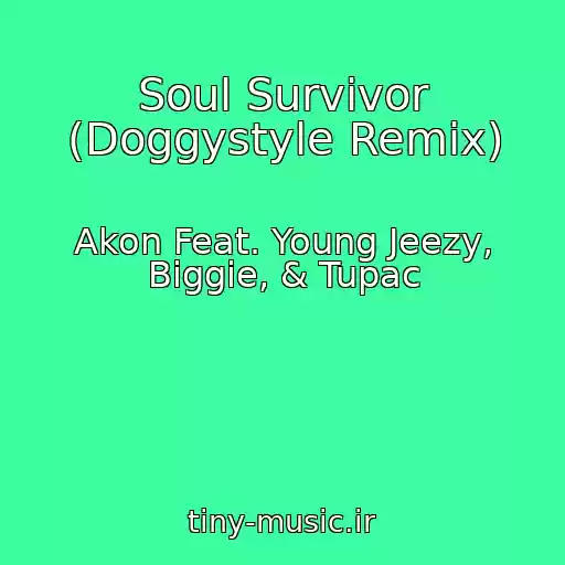 کاور آهنگ Soul Survivor (Doggystyle Remix) از Akon Feat. Young Jeezy, Biggie, & Tupac