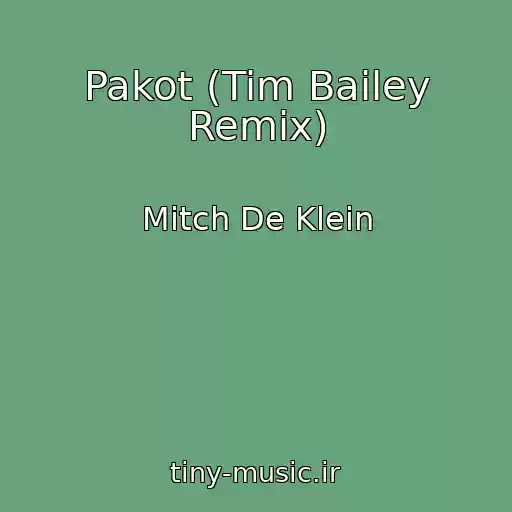 کاور آهنگ Pakot (Tim Bailey Remix) از Mitch De Klein