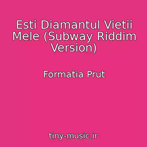 کاور آهنگ Esti Diamantul Vietii Mele (Subway Riddim Version) از Formatia Prut