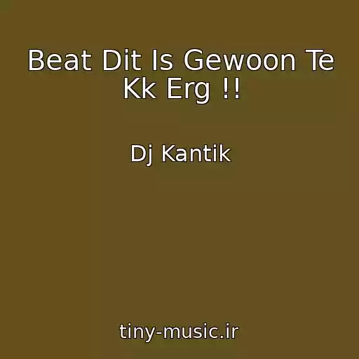 کاور آهنگ Beat Dit Is Gewoon Te Kk Erg !! از Dj Kantik
