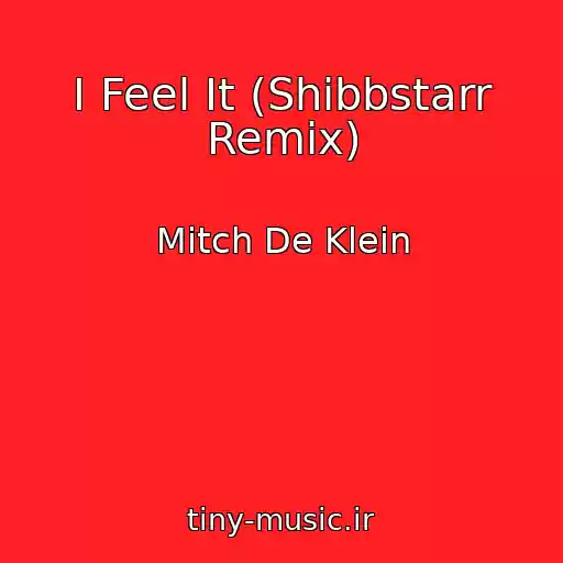 کاور آهنگ I Feel It (Shibbstarr Remix) از Mitch De Klein