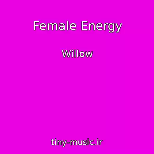 کاور آهنگ Female Energy از Willow