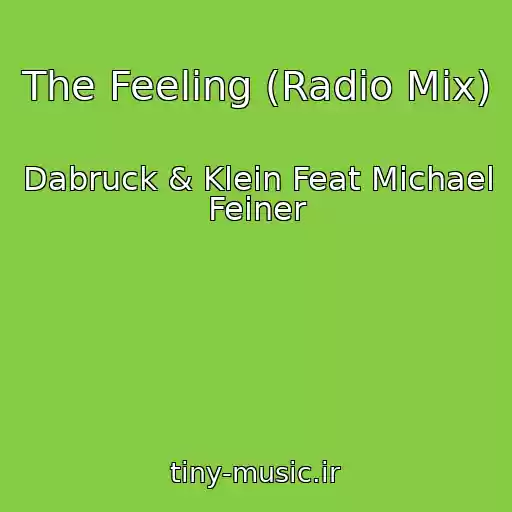 کاور آهنگ The Feeling (Radio Mix) از Dabruck & Klein Feat Michael Feiner