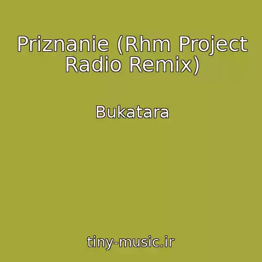 کاور آهنگ Priznanie (Rhm Project Radio Remix) از Bukatara