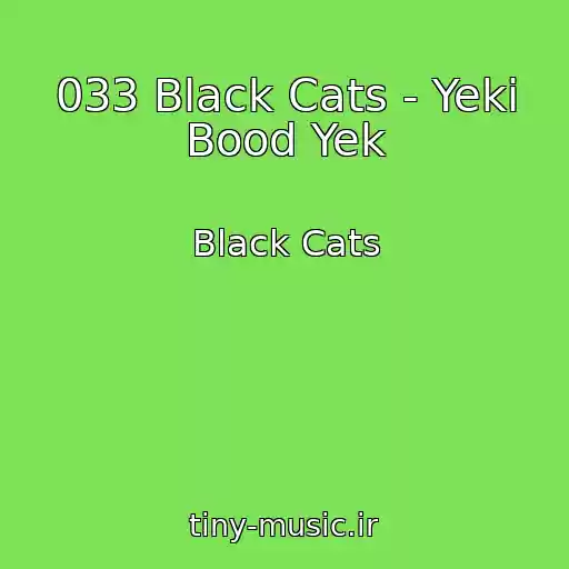 کاور آهنگ 033 Black Cats - Yeki Bood Yek از Black Cats