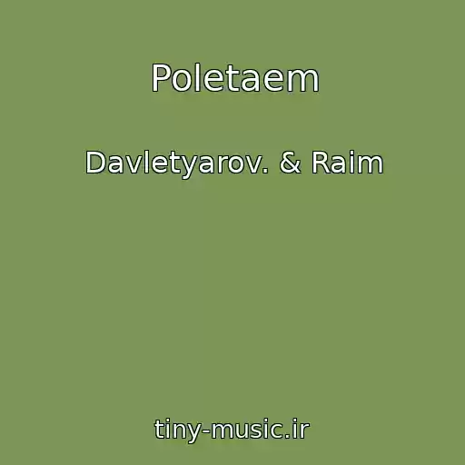 کاور آهنگ Poletaem از Davletyarov. & Raim