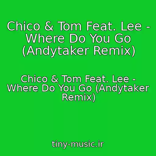 کاور آهنگ Chico & Tom Feat. Lee - Where Do You Go (Andytaker Remix) از Chico & Tom Feat. Lee - Where Do You Go (Andytaker Remix)