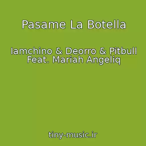 کاور آهنگ Pasame La Botella از Iamchino & Deorro & Pitbull Feat. Mariah Angeliq